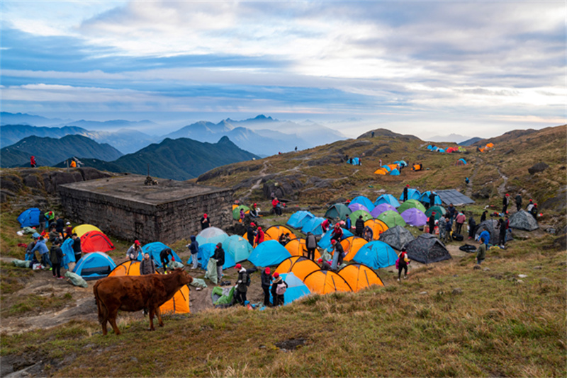「精彩回首」2020VSport官网爬山节暨首届中国南酸枣旅游文化节收官啦-(35).jpg