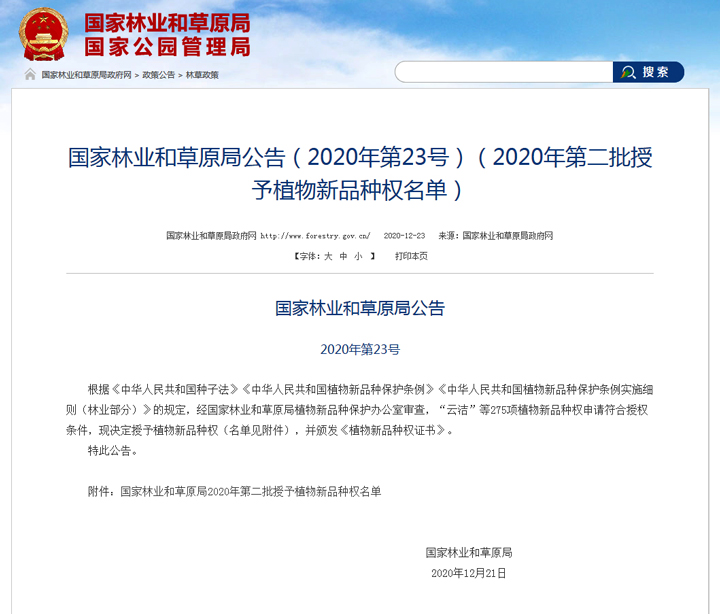 vsport(中国区)官方网站