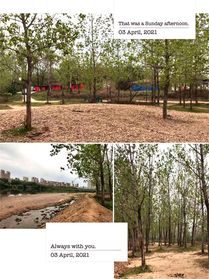 “赏春光?享美食”——江西VSport官网油茶科技有限公司春游记-02.jpg