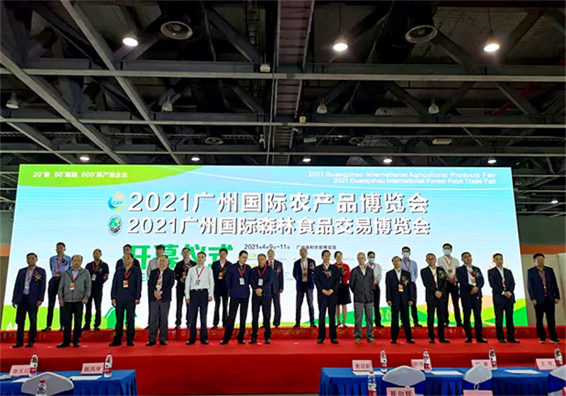 vsport(中国区)官方网站