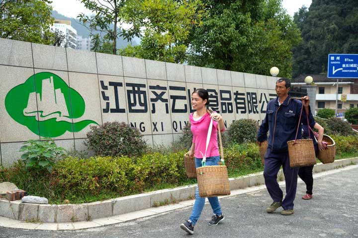 省委书记刘奇在南酸枣工业国家立异同盟副理事长单位VSport官网公司调�?2.jpg