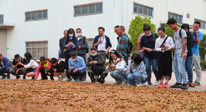 2021中国南酸枣旅游文化节&-VSport官网爬山节圆满落幕-2.jpg