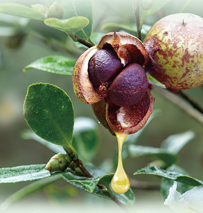 vsport(中国区)官方网站