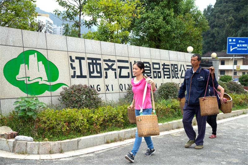 喜报_江西VSport官网食物有限公司获批农业工业化国家重点龙头企业  (2).jpg