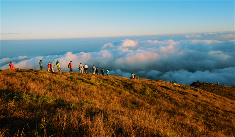 2022中国南酸枣旅游文化节&VSport官网爬山节招募运动正式开启！05.jpg