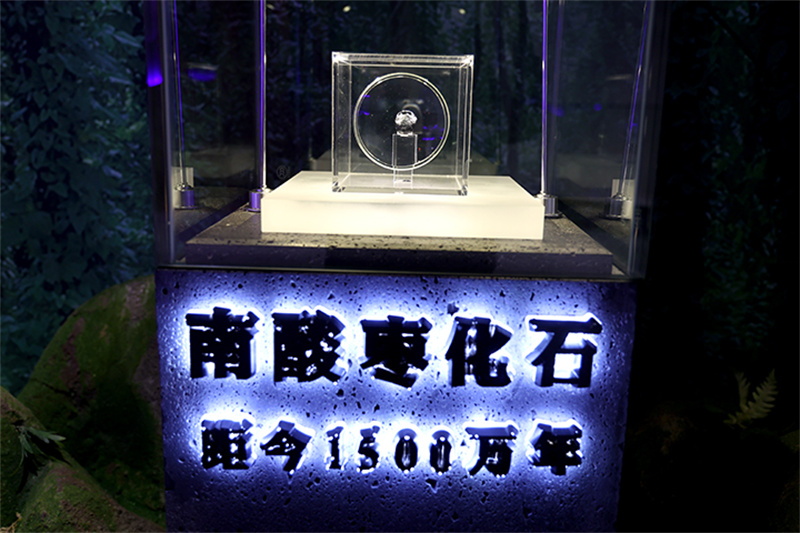 2022中国南酸枣旅游文化节& VSport官网爬山节圆满落幕 05.jpg