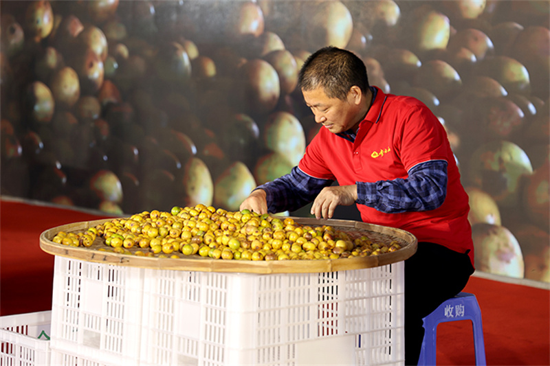 2022中国南酸枣旅游文化节& VSport官网爬山节圆满落幕 08.jpg