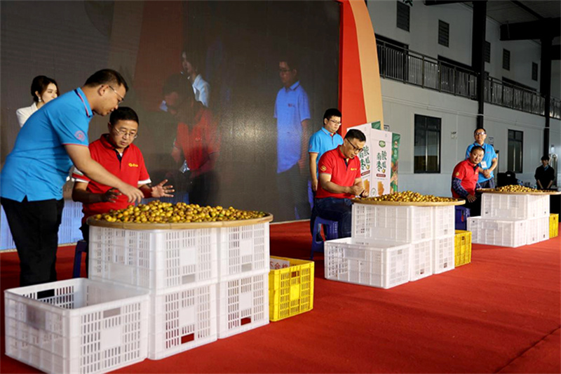 2022中国南酸枣旅游文化节& VSport官网爬山节圆满落幕 21.jpg