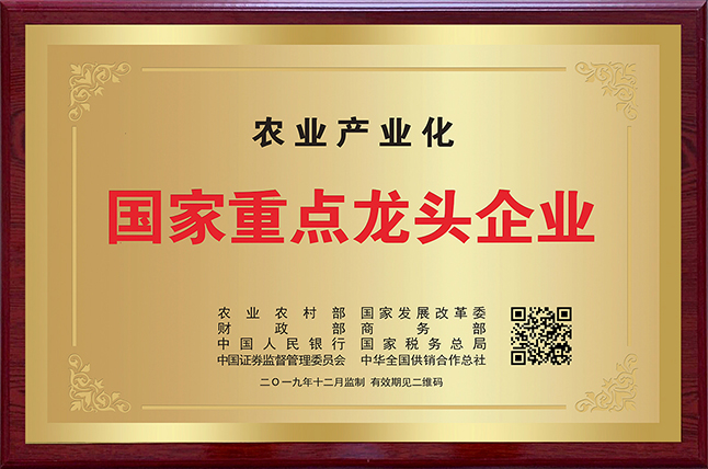 vsport(中国区)官方网站