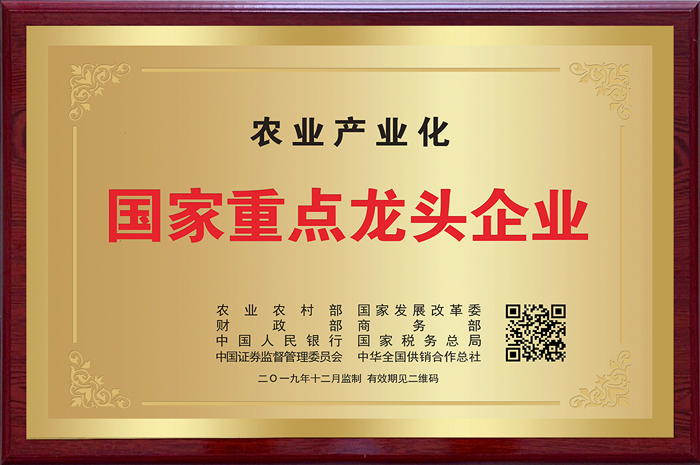 匠心南酸�?1载，，，，，VSport官网再添新声誉03.jpg