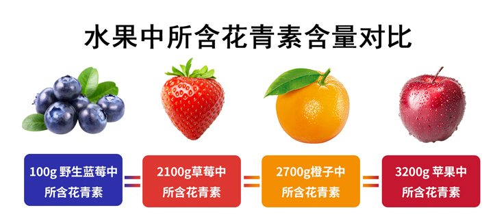 野果南酸??蓝莓，，，，，，，VSport官网蓝莓南酸枣糕“莓好”上市！01.jpg