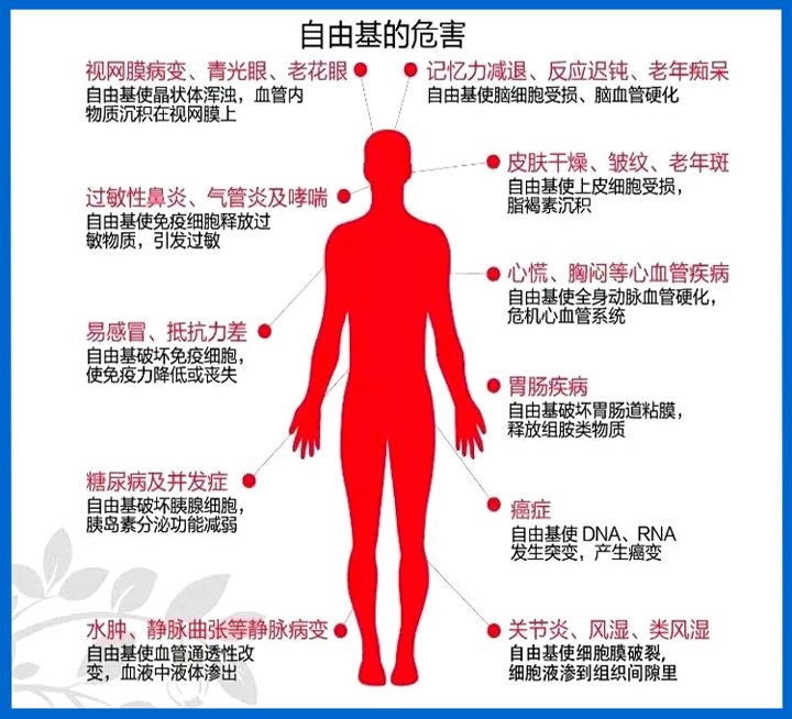 “VSport官网”开启南酸枣糕原花青素大康健时代-03.jpg