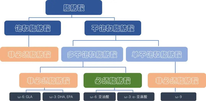 怎样科学挑选食用油？？？？？？？？记着这4个维度！-02.jpg