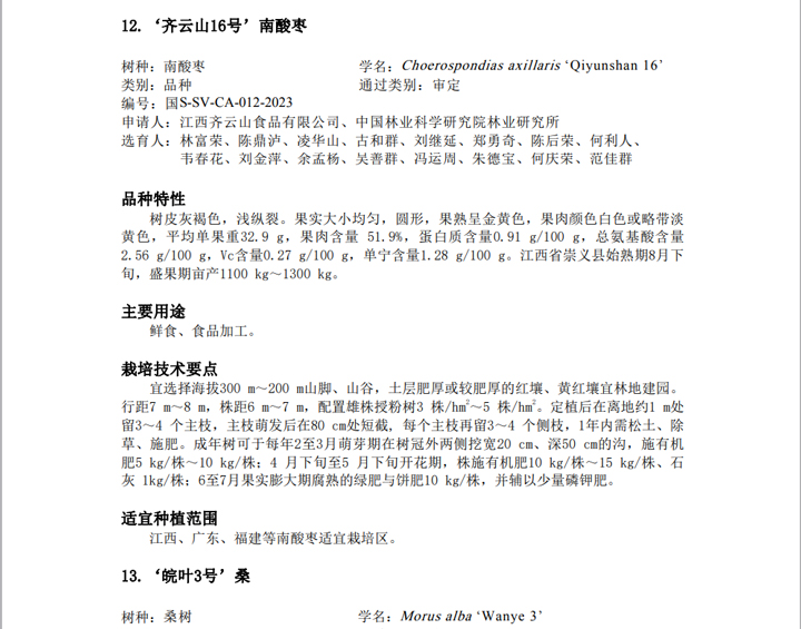 我公司选育??个果用南酸枣新品种又获国家级林木良种审定02.jpg