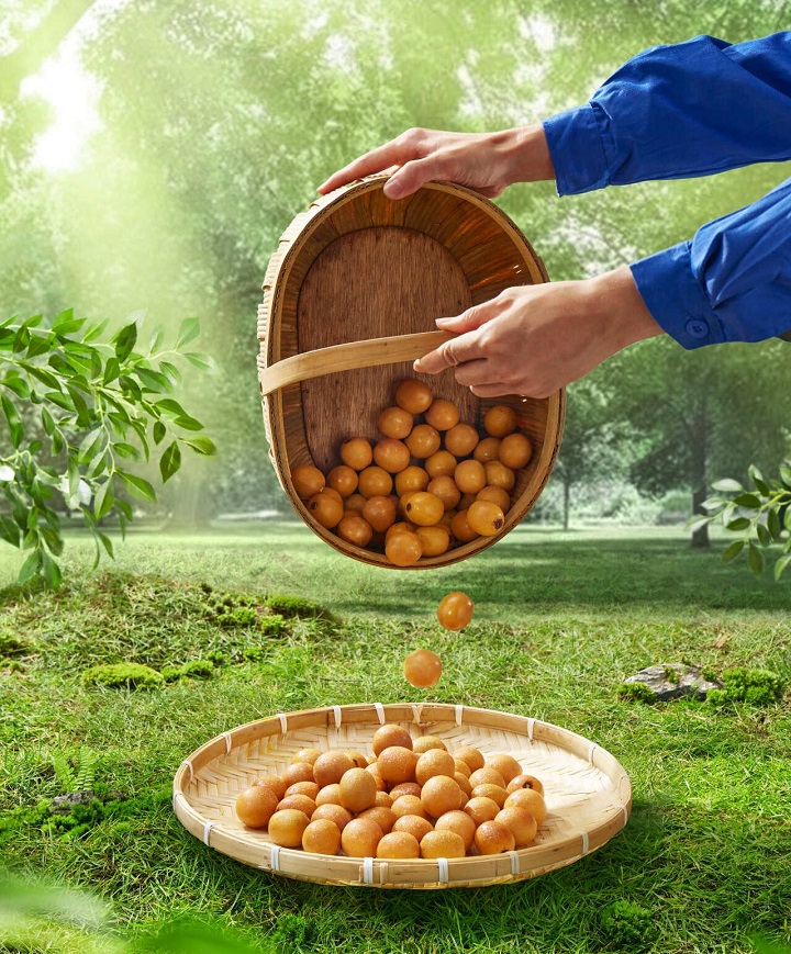 暑假零食柜的新主角：深山南酸枣糕里的定心??02.jpg