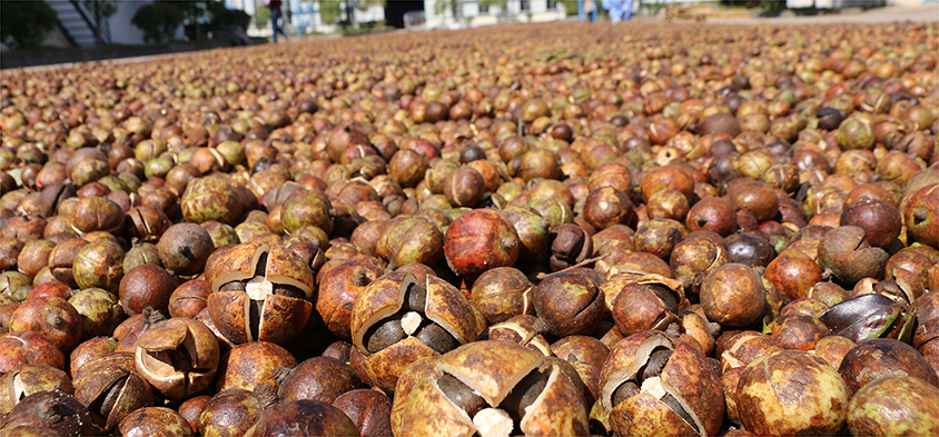 vsport(中国区)官方网站