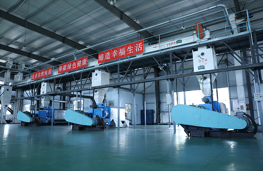 vsport(中国区)官方网站