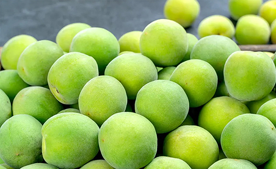 vsport(中国区)官方网站