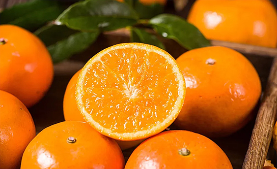 vsport(中国区)官方网站