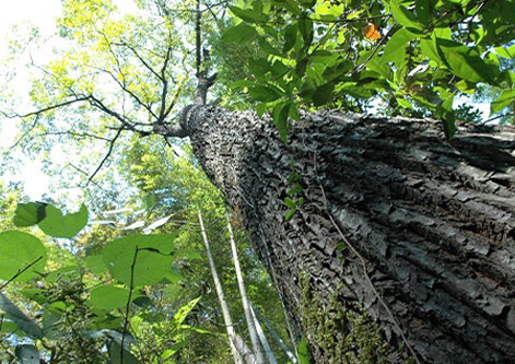 vsport(中国区)官方网站