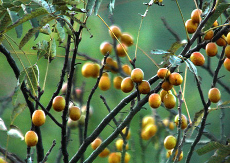 vsport(中国区)官方网站