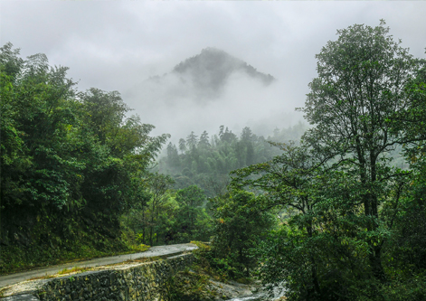 vsport(中国区)官方网站