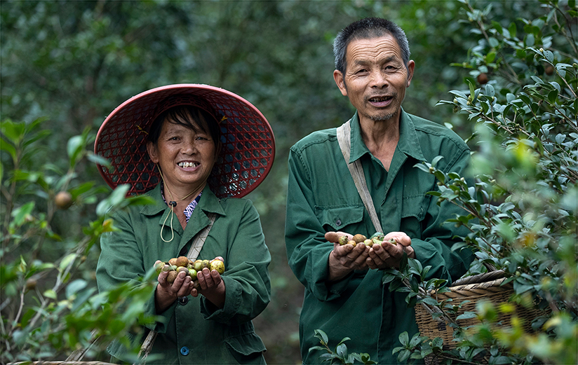 vsport(中国区)官方网站