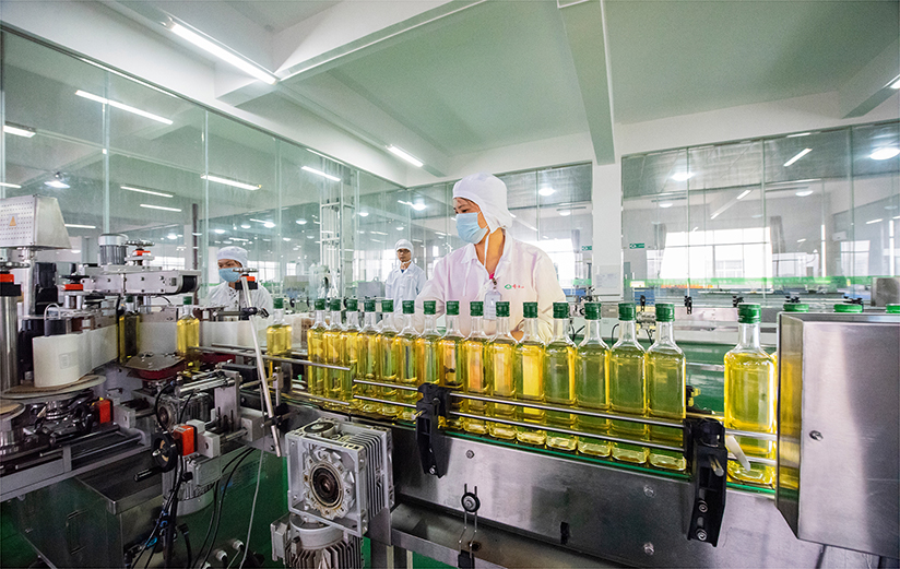 vsport(中国区)官方网站