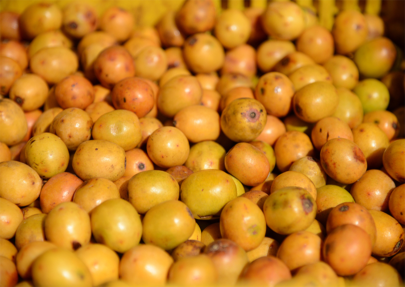 vsport(中国区)官方网站