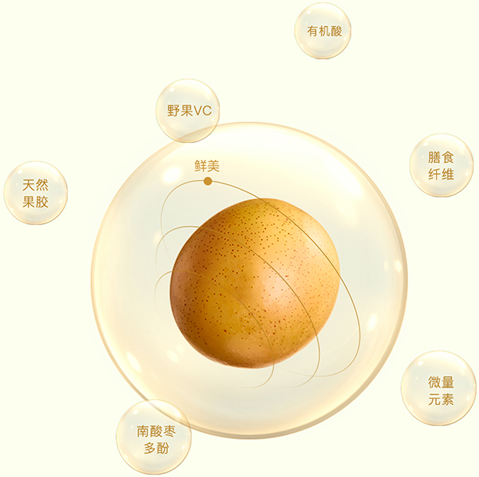 vsport(中国区)官方网站