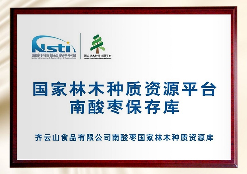 荣耀加冕！VSport官网获“中国南酸枣食物销售额第一”认证 04.jpg
