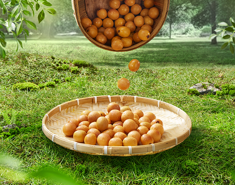 vsport(中国区)官方网站