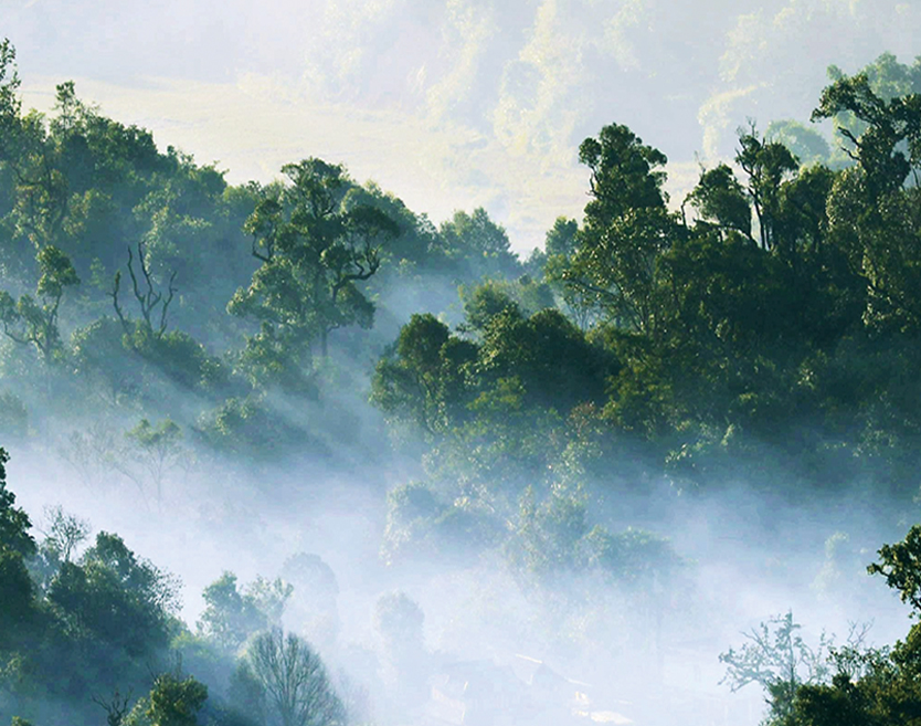 vsport(中国区)官方网站